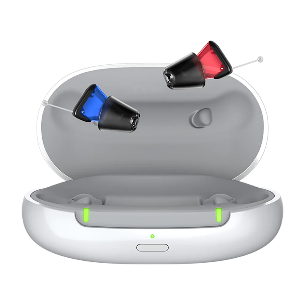 Signia Silk C&G IX - Charge&Go