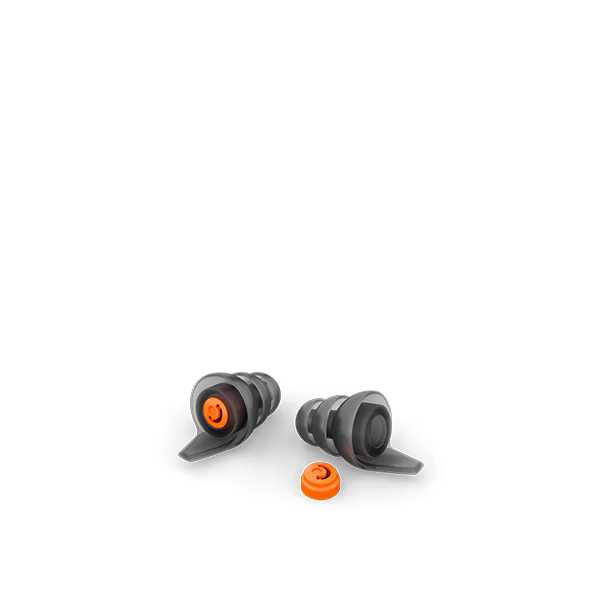 Phonak Serenity Choice WORK